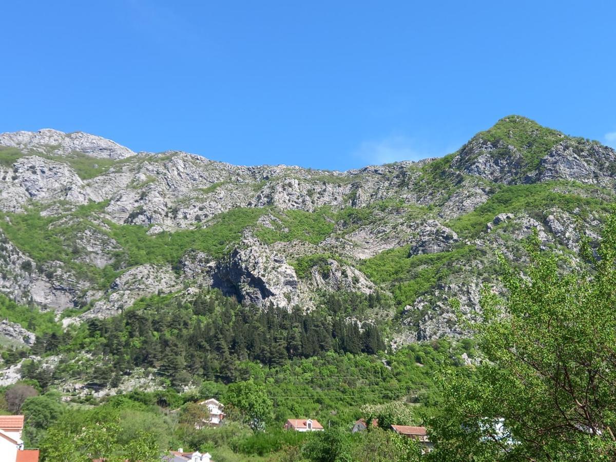 Sea View Hotel Risan Kültér fotó